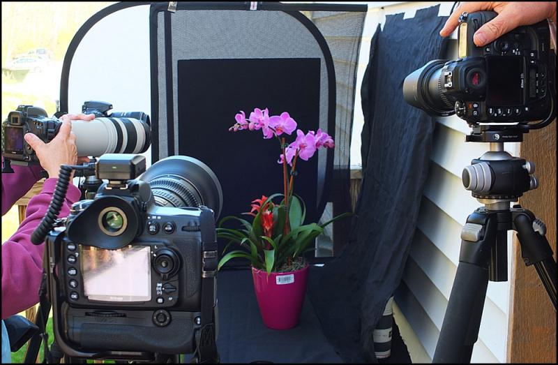 Cameras focus on the still life of an orchid. (Photos by Chris Wolf)